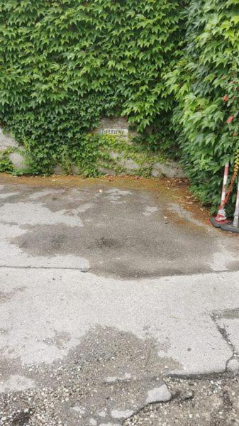 Villa Max Berchtesgaden Ngoại thất bức ảnh